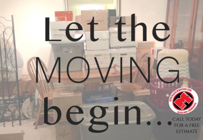 Processed with MOLDIV